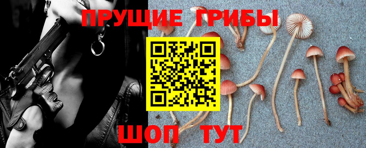 Аксай  Псилоцибиновые грибы Cubensis  Вход с VPN 
